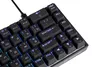купить Игровая клавиатура 2E 2E-KG370UBK-BL KG370 RGB 68key Gateron Blue Switch USB Black UKR в Кишинёве 
