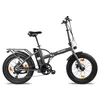cumpără Bicicletă Sharp BK-FD06E-N în Chișinău 