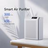 купить Очиститель воздуха EvoAir HOMI P300, CADR 300m³/h, WI-FI, Filtru True Hepa в Кишинёве 