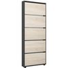 купить Полка для обуви Mobildor-Lux Leo Slim 60x16x203H cm Anthracite/Sonoma в Кишинёве 