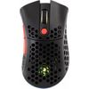 cumpără Mouse 2E 2E-MGHSL-WL-BK HyperSpeed Lite WL, RGB Black în Chișinău 