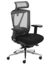 купить Кресло ERGO CHAIR  black в Кишинёве 