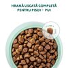 купить Корм для питомцев Optimeal 24231090 Pachet pisici pui 4 kg в Кишинёве 