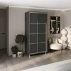 cumpără Dulap my-STYLE C10H2T06AM02-U11, 100x220, антрацит în Chișinău 