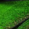 купить Ландшафтная трава ELITE 6051 APPLE, ширина рулона 2м. в Кишинёве 