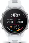 cumpără Ceas inteligent Garmin Forerunner 170, GPS, Whitestone/Cloud Blue, WW (010-03920-01) în Chișinău 