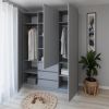 cumpără Dulap Smartex (15909) N16 160cm Grafit în Chișinău 