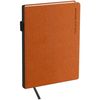 купить Блокнот miscellaneous RL369902 Agenda nedatata BG Fillsta A5, 136 foi, oranj в Кишинёве 