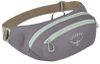 купить Поясная сумка Osprey Daylite Waist soundwave grey/lt Br (10054041OSP) в Кишинёве 