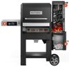 купить Коптильня для мяса Masterbuilt MB20041423 Gratar&Afumator Gravity 600 (pe carbuni) в Кишинёве 