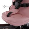 купить Велосипед-коляска KinderKraft KRAVEO02PNK0000 Aveo 2 Plus Pink в Кишинёве 