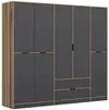 cumpără Dulap Trendy Elina-8164, 232x208x52cm în Chișinău 