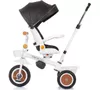 купить Велосипед-коляска Chipolino TRKMRT02402BW Marathon black/white в Кишинёве 