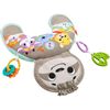 купить Музыкальная игрушка Fisher Price GRR01 Jucărie educațională de pluș pentru jocul pe burtică Leneșul в Кишинёве 