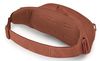купить Поясная сумка Osprey Daylite Waist porcelain orange hip (810165743359) в Кишинёве 