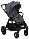 купить Детская коляска Lionelo Carucior 2in1 Layla Grey Stone в Кишинёве 