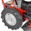 купить Газонокосилка Hecht 5060 Motocositoare cu tambur si autopropulsie в Кишинёве 