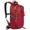 cumpără Rucsac sportiv Hannah Endeavour 20 sun-dried tomato în Chișinău 