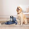 купить Товар для груминга Ufesa Pet grooming & vacuum PetBuddy Groom в Кишинёве 