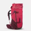 купить Рюкзак для путешествий Quechua MH500 20л, Красный в Кишинёве 