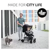 cumpără Сărucior pentru copii Hauck Rapid 4 Grey în Chișinău 