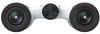 купить Бинокль Nikon Aculon T02 8x21 White в Кишинёве 
