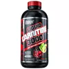 Carnitine Liquid 3000 480 Ml