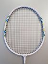 cumpără Echipament pentru badminton Spartan 8612 Paleta badminton S2093 Bossa cu husa în Chișinău 