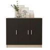 купить Комод Trendy VO5-OB 89x73x38cm, multifunctionala (GTR006700) в Кишинёве 