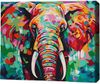 cumpără Tablou pe numere BrushMe RMG0033FC 30x40сm (fără cutie) Elefant colorat în Chișinău 