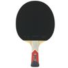 купить Теннисный инвентарь Tibhar SL-00014434 Paleta tenis de masa 5 XXX Powergrip Red Edition 03024 в Кишинёве 