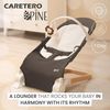 cumpără Oală Caretero 80611 Pine Gray în Chișinău 
