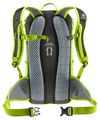 cumpără Rucsac sportiv Deuter Race citrus-graphite în Chișinău 