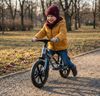 cumpără Bicicletă Moni Ranger Maxi Blue în Chișinău 