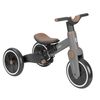 cumpără Bicicletă-cărucior Kikka Boo 31006020164 Tricicleta 5in1 Flash Grey în Chișinău 