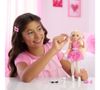 купить Кукла Barbie JKP50 Dream Besties Malibu в Кишинёве 