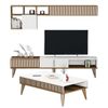 купить Стенка Trendy Milano-481 (комплект мебели для гостиной) (GTR001301) в Кишинёве 