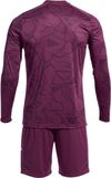 cumpără Îmbrăcăminte sport Joma Zamora IX Set Burgundy (4XS) 103730.650 în Chișinău 