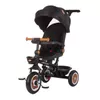 cumpără Bicicletă-cărucior Chipolino TRKMRT02401OB Marathon obsidian în Chișinău 