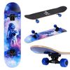 купить Скейтборд Nils CR3108SA-DR Abisal Dreamer Skateboard Extreme в Кишинёве 