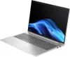 купить Ноутбук HP EliteBook 6 G1i 16" (D4YZ1ET) в Кишинёве 
