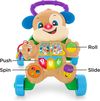 купить Ходунок Fisher Price GXR70 Puppy в Кишинёве 