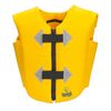 cumpără Accesoriu pentru înot Beco 9495 Vesta inot pt copii SINDBAD 9649 (2-6 ani) 15-30kg în Chișinău 