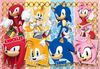 cumpără Puzzle Clementoni 60 MAXI: Sonic, 2025 (26073) în Chișinău 
