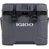 cumpără Geantă frigorifică Dometic Coolbox TRAILMATE 25 Carbonite 23L (97000033303) în Chișinău 