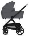 купить Детская коляска Lionelo Carucior 2in1 Carmine Grey Stone в Кишинёве 