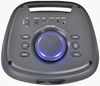 купить Колонка портативная Bluetooth Eden Party Speaker ED-613, 10W, 6.5, Black в Кишинёве 