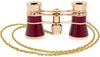 cumpără Binoclu Levenhuk Broadway 325B Red Opera Glasses în Chișinău 