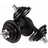 cumpără Ganteră Zipro Iron Dumbbell Set 2x10kg în Chișinău 