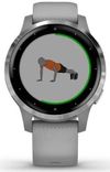 купить Фитнес-трекер Garmin vivoactive 4S Powder Gray/Silver, S.EU в Кишинёве 